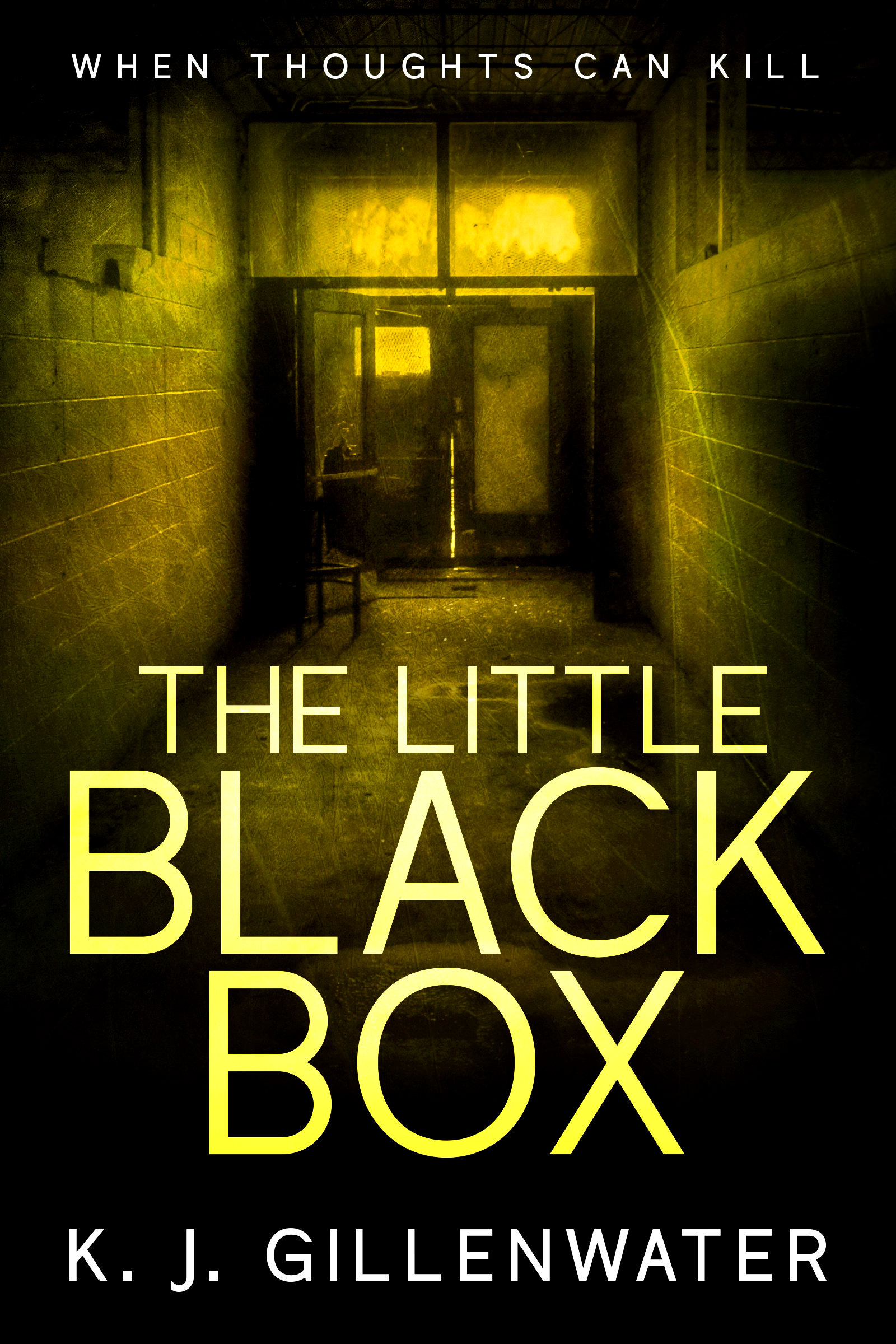 A picture of the cover of the book, the little black box.